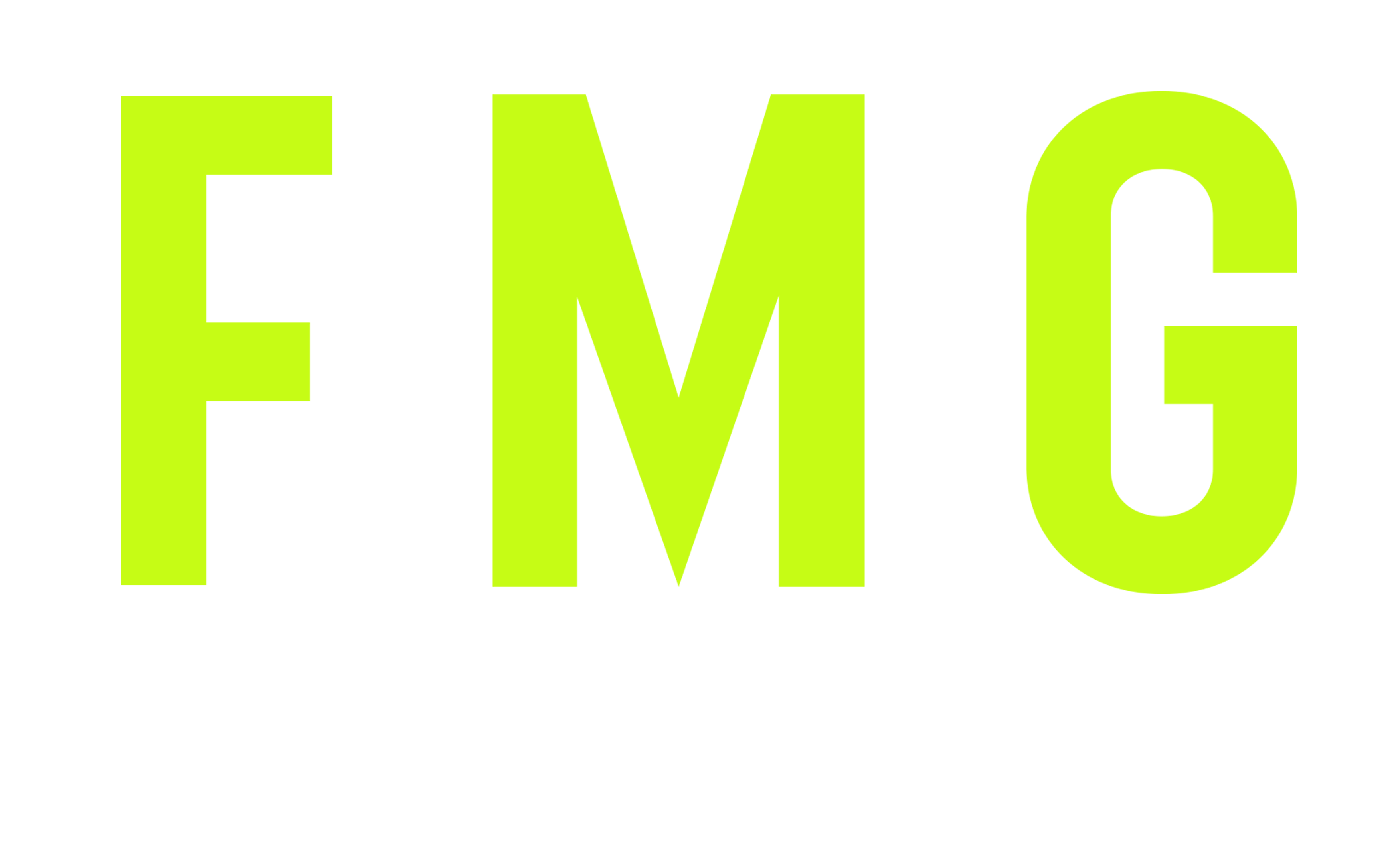 FMG Logo